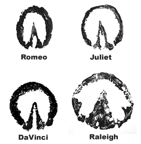 Hoofprints of Romeo, Juliet, DaVinci and Raleigh